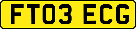 FT03ECG