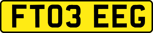 FT03EEG