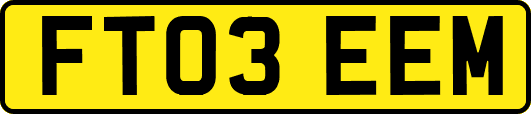 FT03EEM