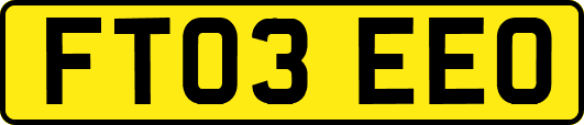 FT03EEO