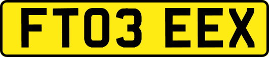 FT03EEX