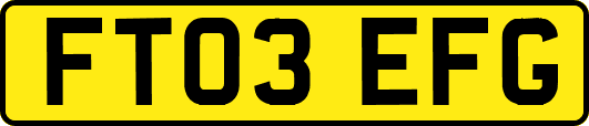 FT03EFG