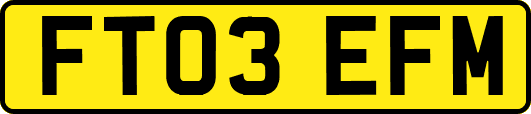 FT03EFM