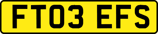FT03EFS