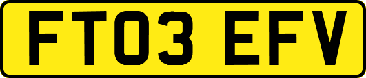 FT03EFV