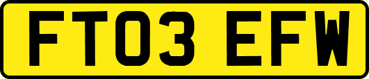 FT03EFW
