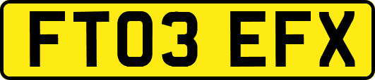 FT03EFX