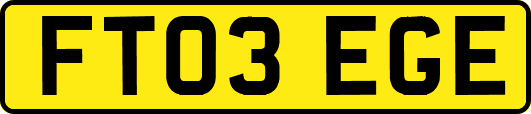 FT03EGE