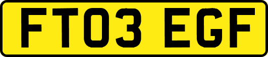 FT03EGF