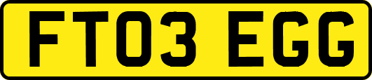 FT03EGG