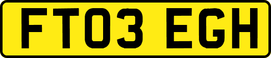 FT03EGH