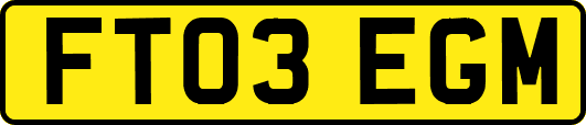 FT03EGM