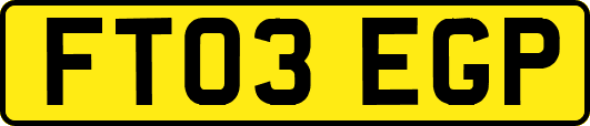 FT03EGP