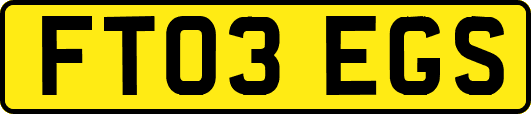 FT03EGS