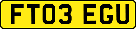 FT03EGU