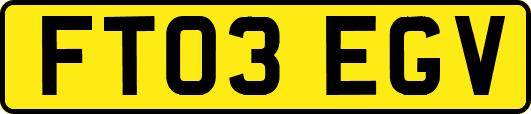 FT03EGV