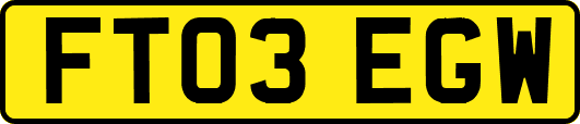 FT03EGW