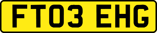 FT03EHG