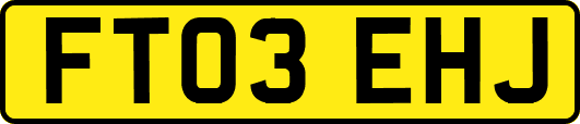 FT03EHJ