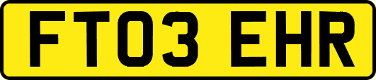 FT03EHR