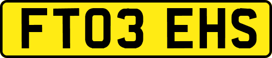 FT03EHS