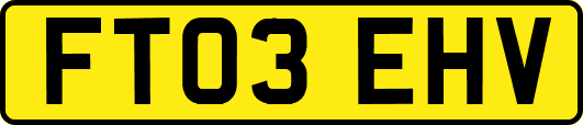 FT03EHV