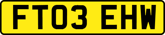 FT03EHW