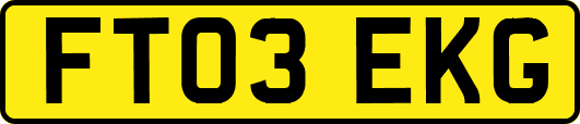 FT03EKG