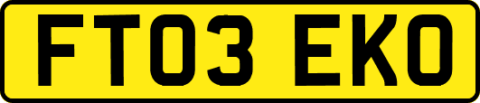 FT03EKO