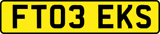 FT03EKS