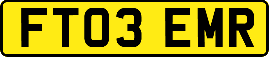 FT03EMR