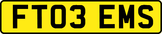 FT03EMS