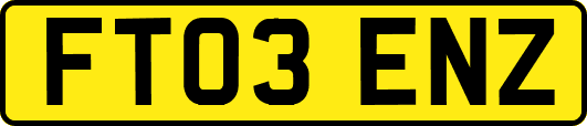 FT03ENZ