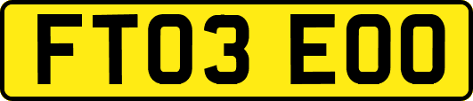 FT03EOO
