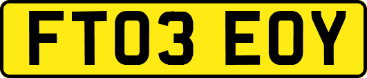 FT03EOY