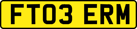 FT03ERM