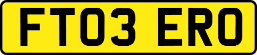 FT03ERO