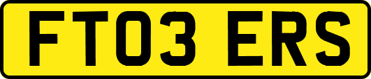 FT03ERS