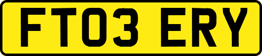 FT03ERY