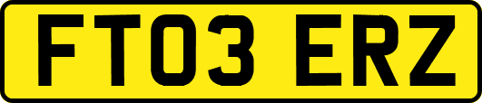 FT03ERZ