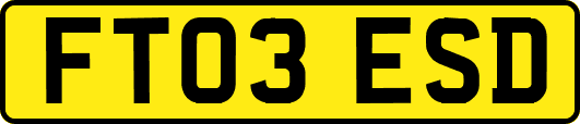 FT03ESD