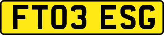 FT03ESG