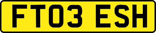 FT03ESH