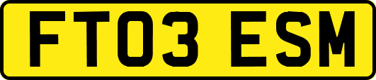 FT03ESM