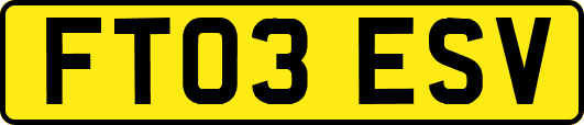 FT03ESV