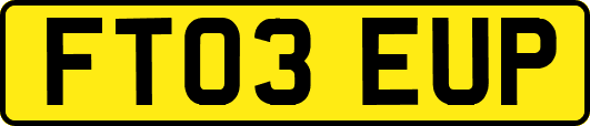 FT03EUP
