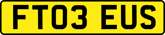 FT03EUS