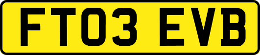 FT03EVB