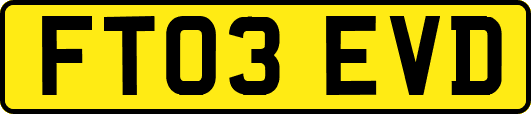 FT03EVD