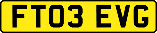 FT03EVG